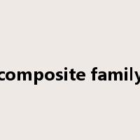 composite family是什么意思