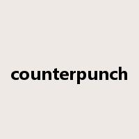 counterpunch是什么意思