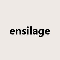 ensilage是什么意思
