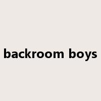 backroom boys是什么意思