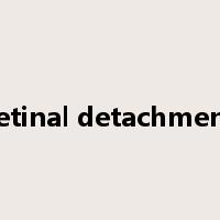 retinal detachment是什么意思