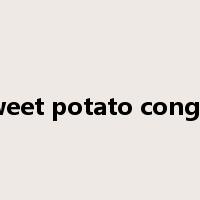 Sweet potato congee是什么意思