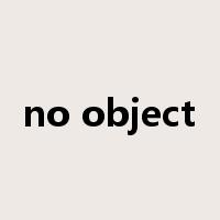 no object是什么意思