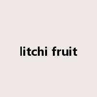 litchi fruit是什么意思