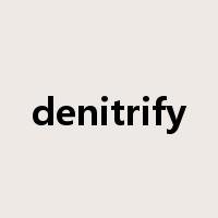 denitrify是什么意思