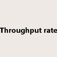 Throughput rate是什么意思
