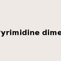 Pyrimidine dimer是什么意思
