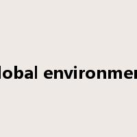 global environment是什么意思