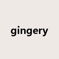 gingery是什么意思