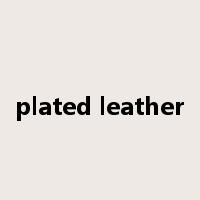 plated leather是什么意思