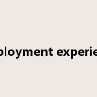 employment experience是什么意思