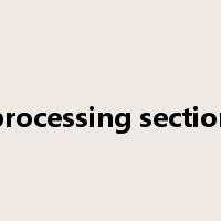 processing section是什么意思