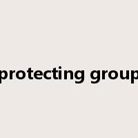 protecting group是什么意思