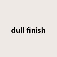 dull finish是什么意思