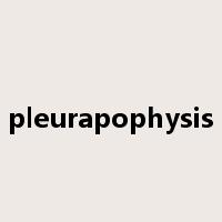 pleurapophysis是什么意思