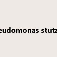Pseudomonas stutzeri是什么意思