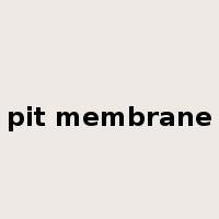 pit membrane是什么意思