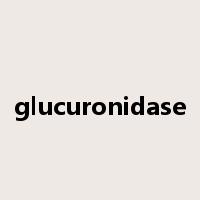 glucuronidase是什么意思