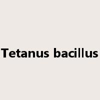 Tetanus bacillus是什么意思