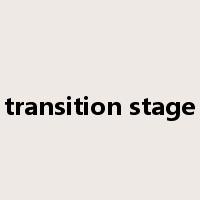 transition stage是什么意思