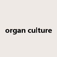 organ culture是什么意思