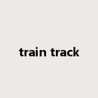 train track是什么意思