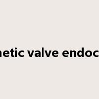 prosthetic valve endocarditis是什么意思