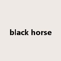 black horse是什么意思