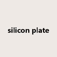 silicon plate是什么意思