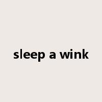 sleep a wink是什么意思