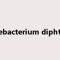 Corynebacterium diphtheriae是什么意思