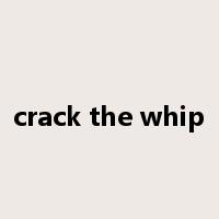 crack the whip是什么意思