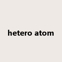 hetero atom是什么意思