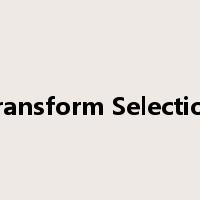 Transform Selection是什么意思