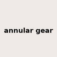 annular gear是什么意思