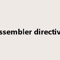 assembler directive是什么意思