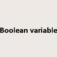 Boolean variable是什么意思