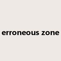 erroneous zone是什么意思