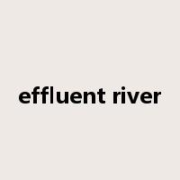 effluent river是什么意思