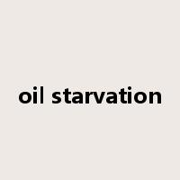 oil starvation是什么意思