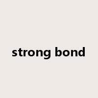 strong bond是什么意思