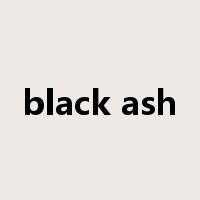 black ash是什么意思