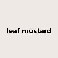 leaf mustard是什么意思