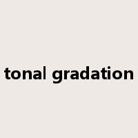 tonal gradation是什么意思