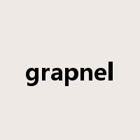 grapnel是什么意思