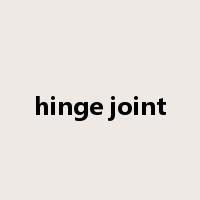 hinge joint是什么意思