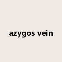 azygos vein是什么意思