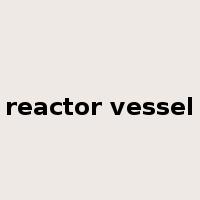 reactor vessel是什么意思