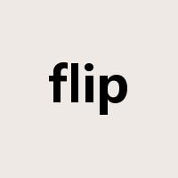 flip是什么意思