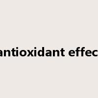 antioxidant effect是什么意思